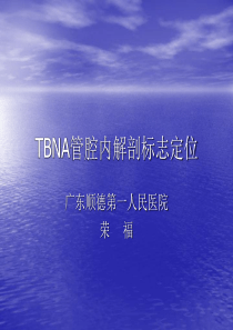 TBNA管腔内解剖标志定位(2010)11P