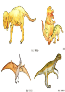 生物：7.3.2 生物进化的历程