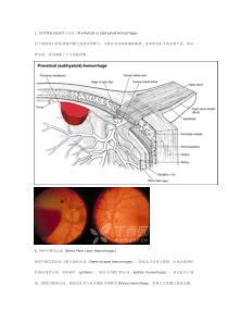 视网膜各层出血解析