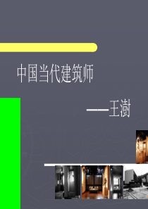 王澍作品介绍(1)