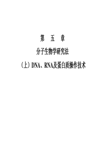 北大分子生物学课件 朱玉贤