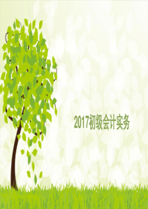 2017初级会计实务