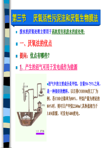 厌氧活性污泥法和厌氧生物膜法