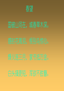 最后一课.ppt