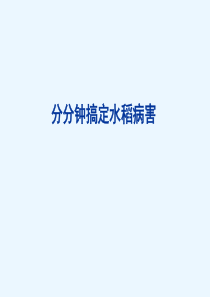 水稻病害高清图谱