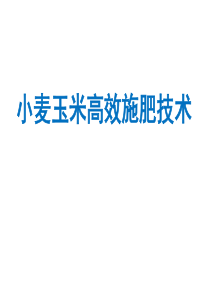 小麦玉米施肥原理与技术