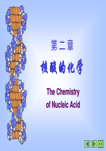 第二章核酸的化学最新总结