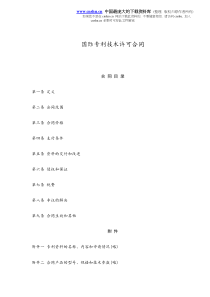 国际专利技术许可合同(doc8)