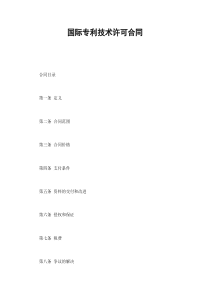 国际专利技术许可合同（DOC11页）