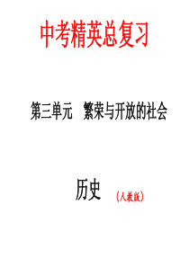 2016中考精英总复习历史(人教版)习题课件：中国古代史 第三单元 繁荣与开放的社会