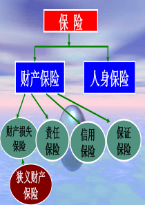 保险学课件 第六章 财产损失保险