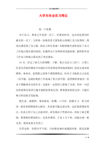 大学生毕业实习周记