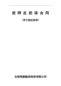 股权质押反担保合同(修改)（DOC8页）