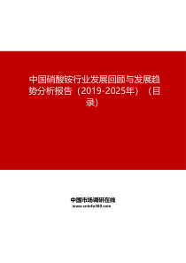 中国硝酸铵行业发展回顾与发展趋势分析报告(2019-2025年)目录