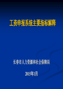 工资申报系统填写说明