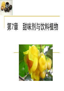 第7章甜味剂与饮料植物