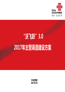 2017年渠道建设方案