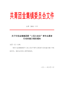 共青团金集镇委员会“三民大走访”青年志愿者(实施方案)