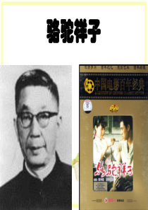 骆驼祥子__高妈