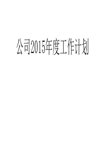 2015年公司年度工作计划资料