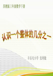 认识一个整体的几分之一PPT