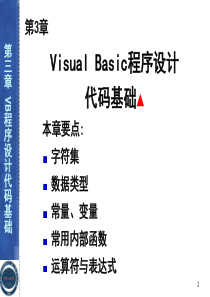 第3章 VB程序设计代码基础