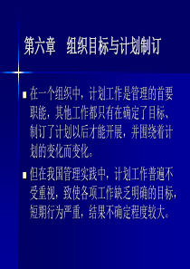 第6章  组织目标与计划制订