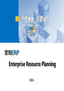 什么是ERP(生活实例)