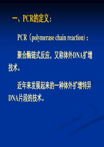 PCR技术