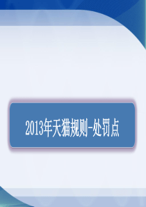 2013年天猫规则资料