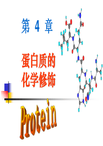 第四章蛋白质的化学修饰