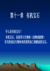 珠宝知识 第十一章 有机宝石