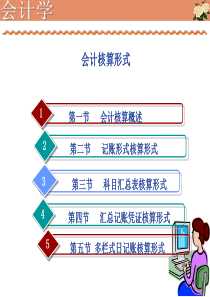 会计学――会计核算形式