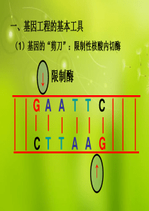 环评报告表基本格式