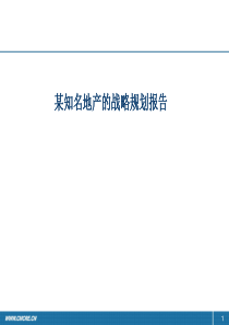 房地产战略规划报告资料