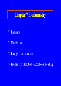 chapter 7 Biochemistry