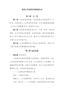 某某公司首席技师管理办法