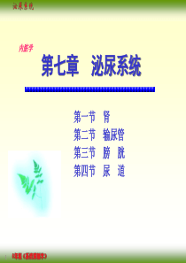 核医学泌尿系统ppt