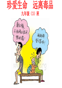 安全教育 禁毒课件  PPT