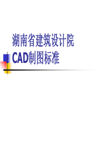 湖南建筑设计院CAD制图标准