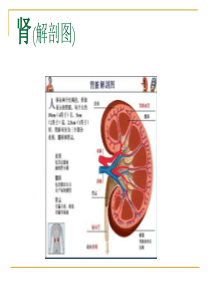 疾病与营养