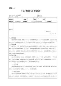 会计手工帐实训报告 【7 篇】