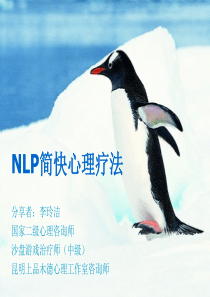 NLP简快心理疗法(第2课)