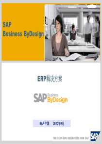 SAPBusinessByDesign(CRM启动包)