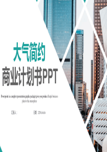 大气简约商业计划书PPT