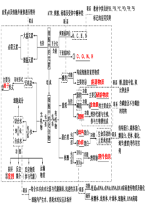 二轮复习专题细胞的分子组成与基本结构