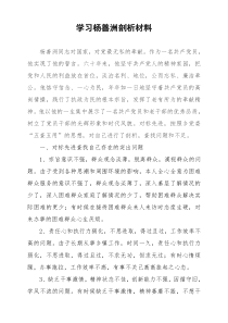 学习杨善洲先进事迹剖析材料