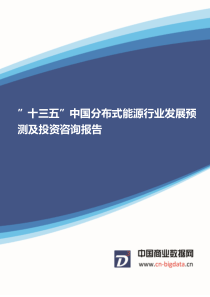 ”十三五”中国分布式能源行业发展预测及投资咨询报告