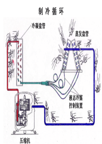 系统及蒸发器冷凝器