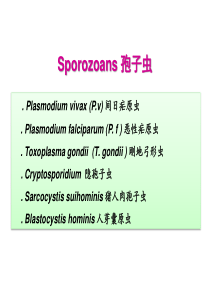 MES系统介绍